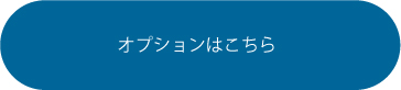 アドシェルレンタカーオプションはこちら